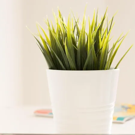 Ostello Rooms, View Of